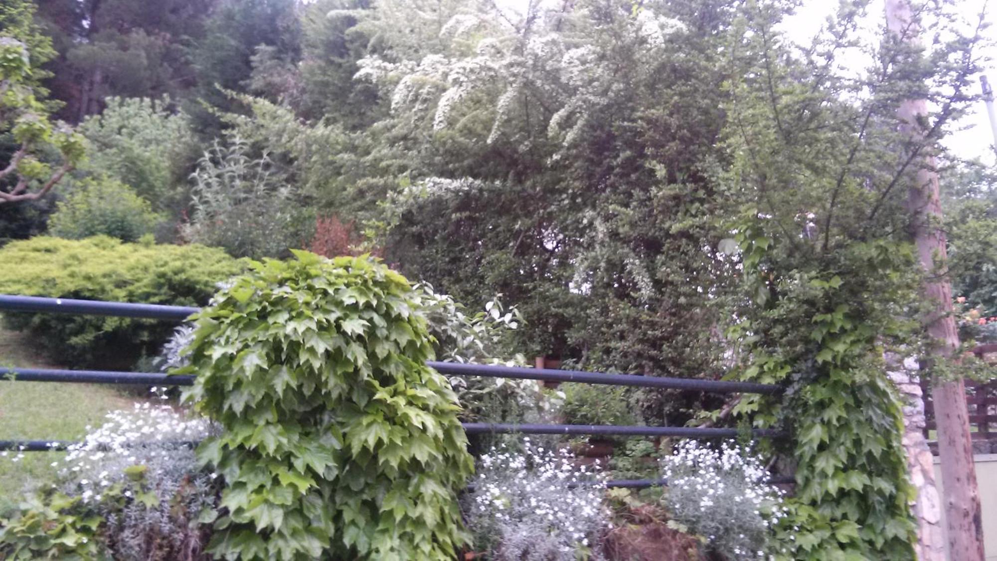 Six Steps From The Forest Zigos  Exterior foto