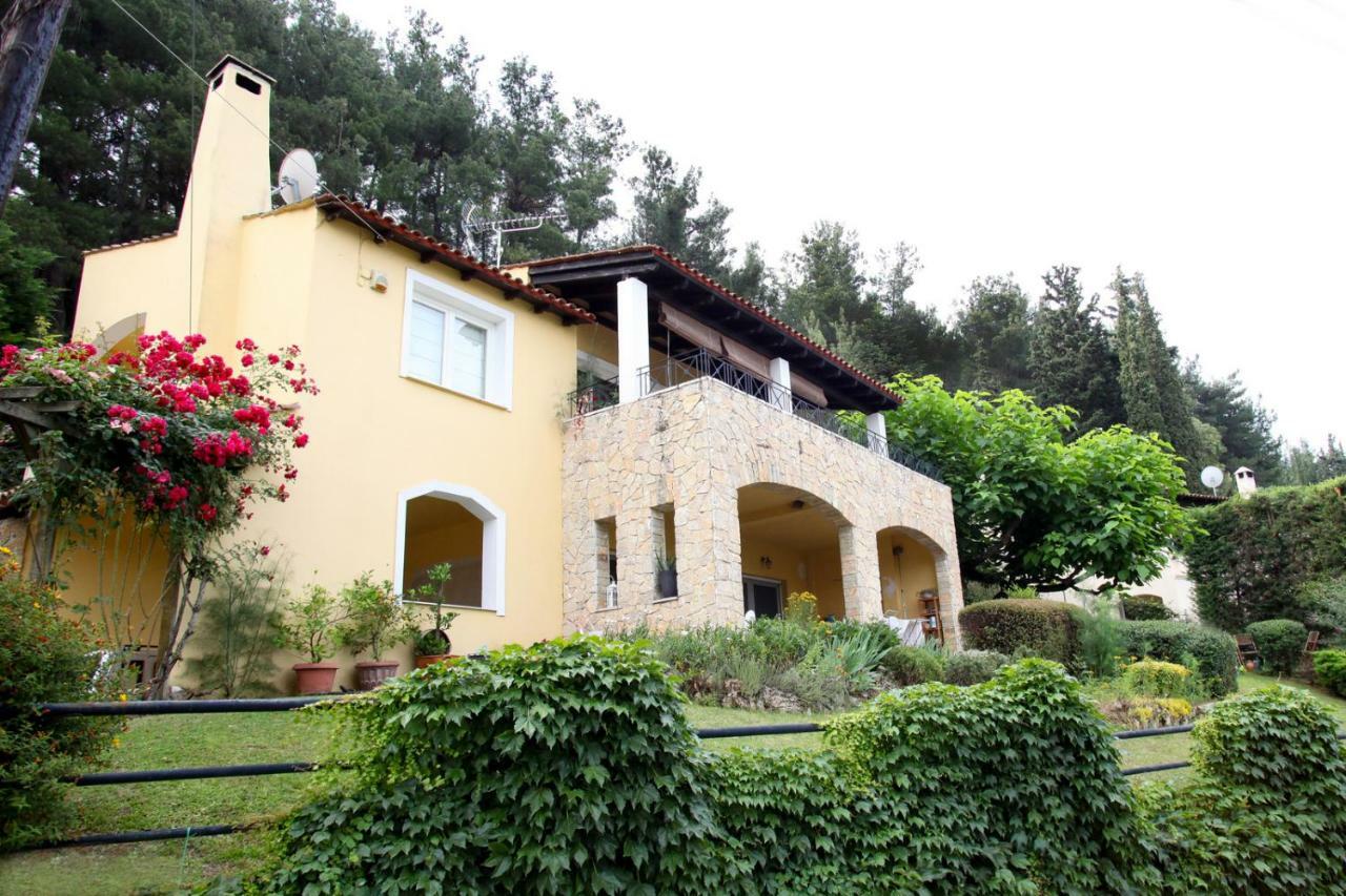 Six Steps From The Forest Zigos  Exterior foto
