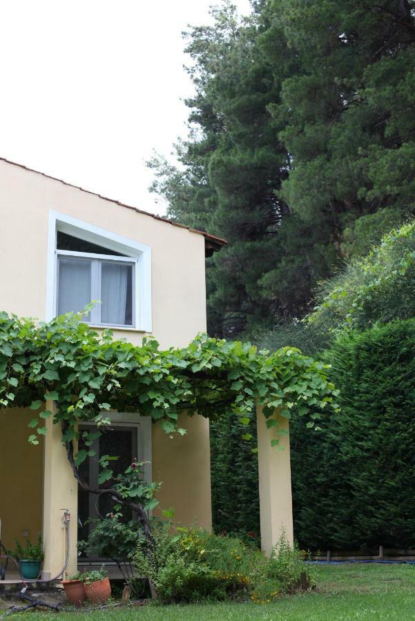 Six Steps From The Forest Zigos  Exterior foto