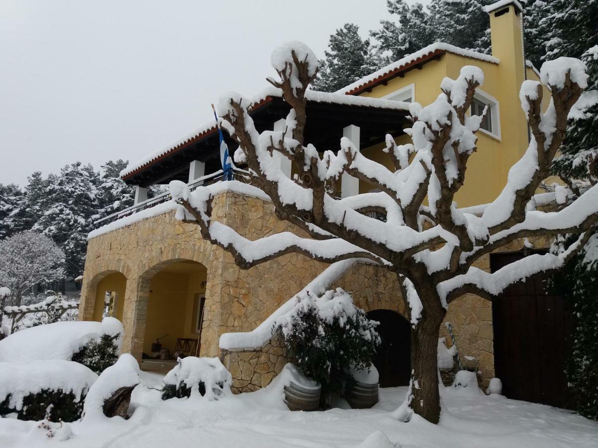 Six Steps From The Forest Zigos  Exterior foto