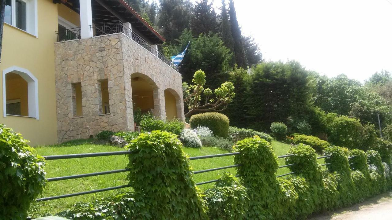Six Steps From The Forest Zigos  Exterior foto